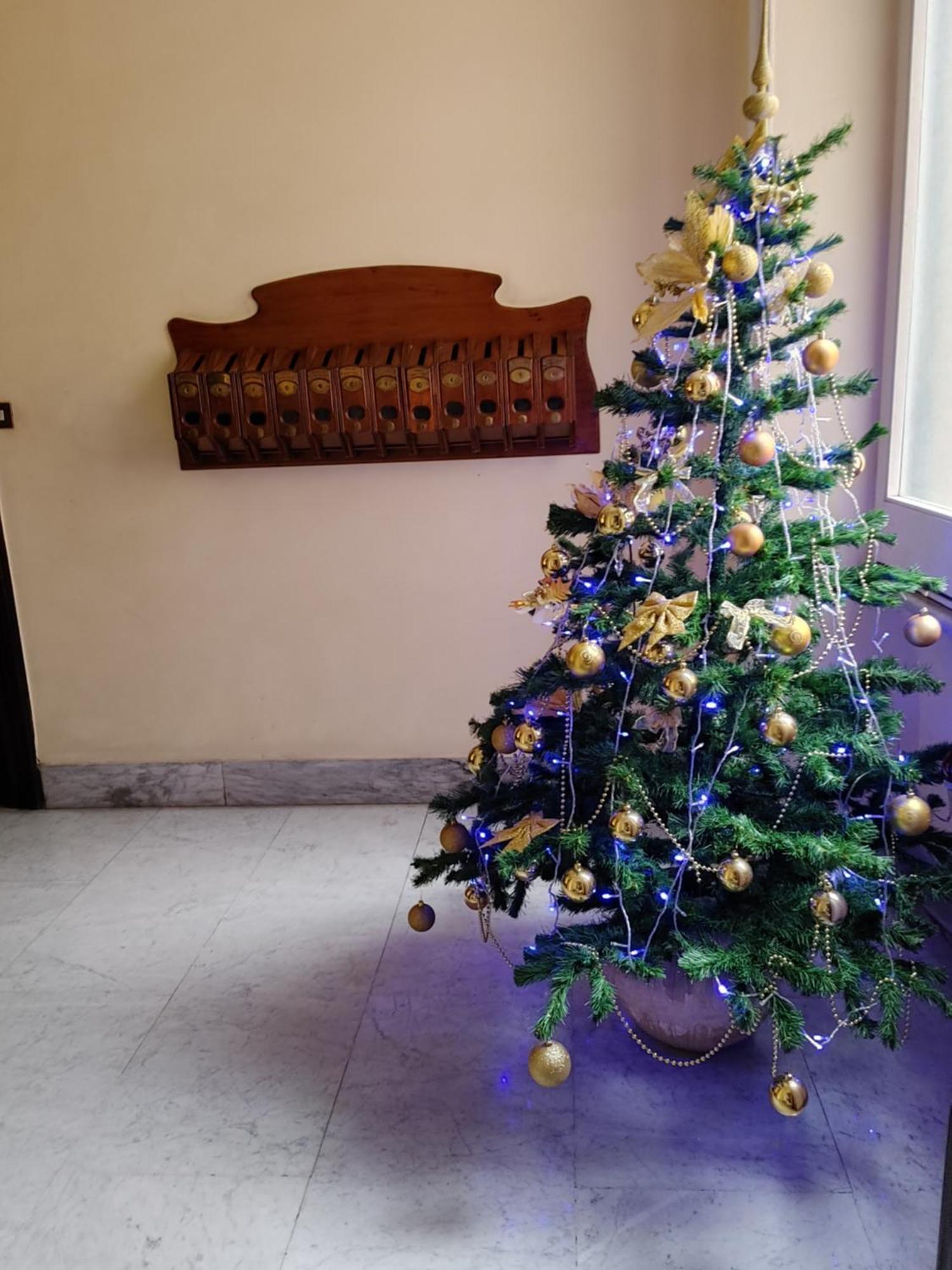 Studio Flat Trastevere Roma Exterior foto